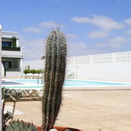 Apartament Magmamia