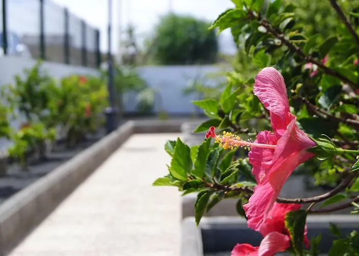 Magmamia Apartment Puerto del Carmen (Lanzarote)