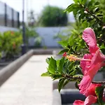 Magmamia 公寓 卡门港