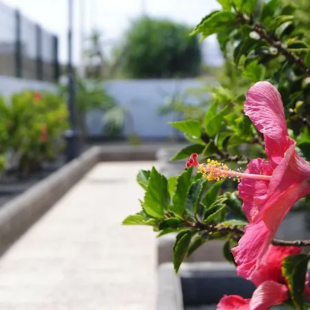 Magmamia Apartament Puerto del Carmen (Lanzarote)