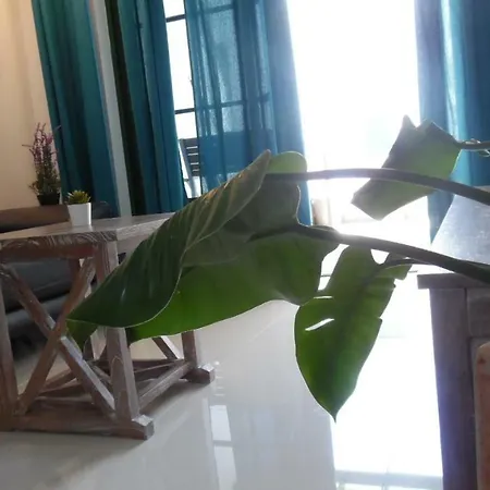 Magmamia Apartment