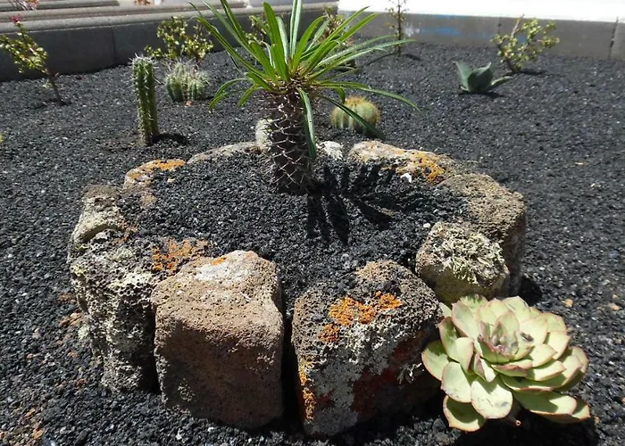 Apartament Magmamia Puerto del Carmen (Lanzarote)