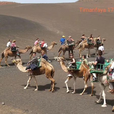 Апартаменты Magmamia Пуэрто дель Кармен