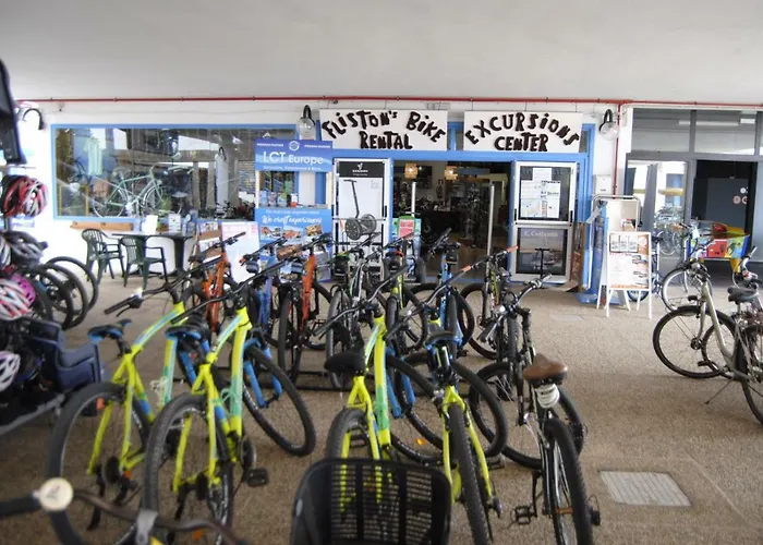 Magmamia Lejlighed *