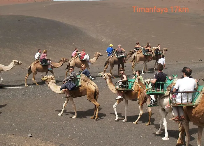 Lejlighed Magmamia Puerto del Carmen (Lanzarote)